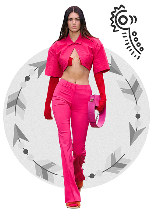 Znamení horoskopu Husa