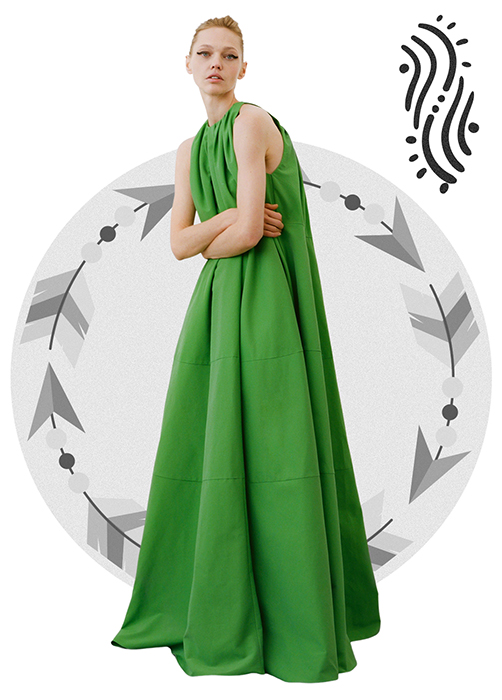 Znamení horoskopu Sokol