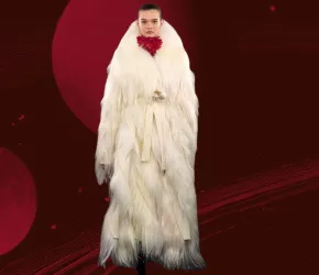 Novoluní prosinec 2025