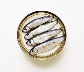Sardines