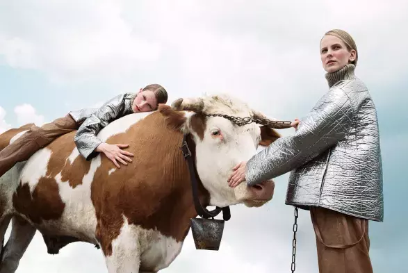 Filmový festival ASVOFF Filmový festival ASVOFF