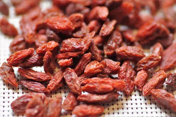 Goji (kustovnice)