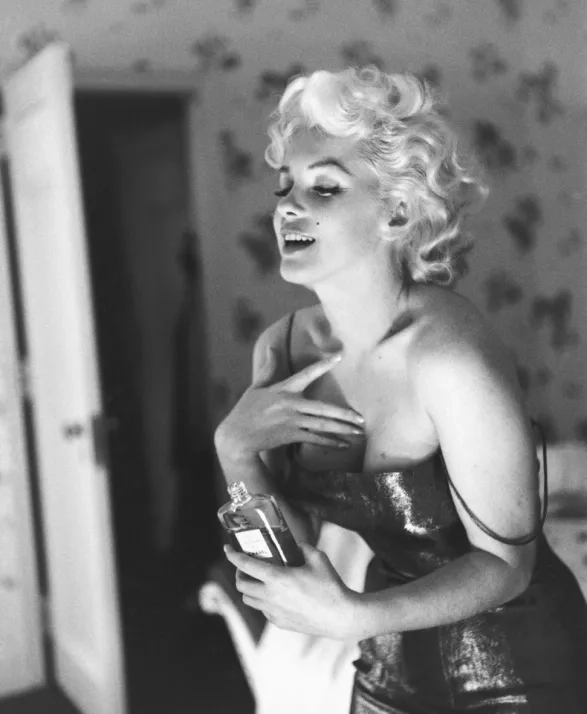 chanel no5 chanel no5