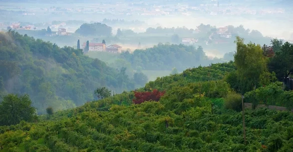 Vše, co potřebujete znát o tolik oblíbeném Proseccu
