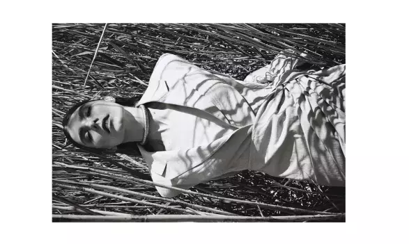 Daniel Chomistek Daniel Chomistek