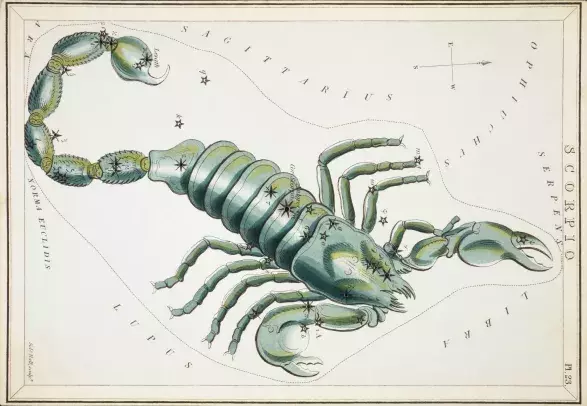 Listopadový horoskop Štír