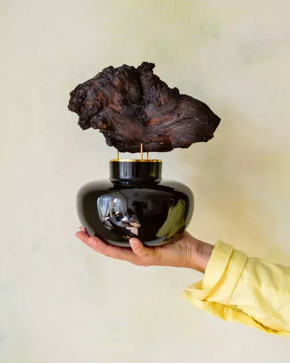 v Kateřina Šantrochová, Scent Roche