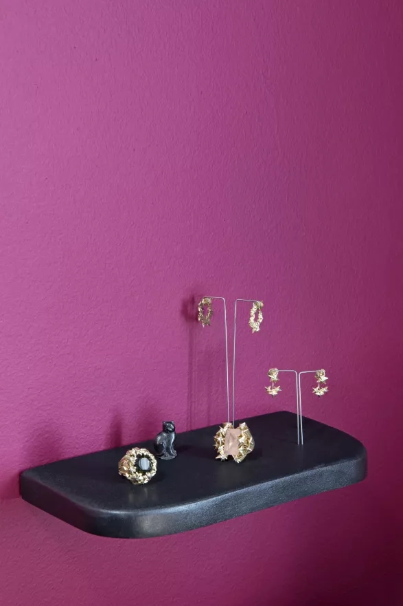 archiv Janji Prokić