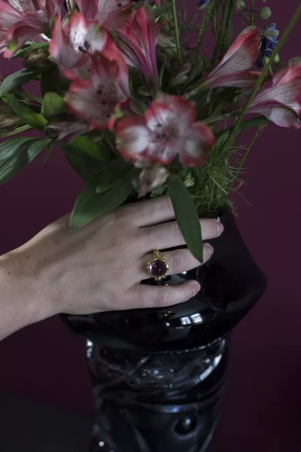 archiv Janji Prokić