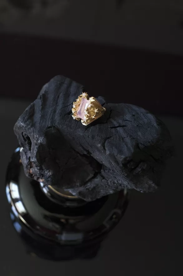 archiv Janji Prokić