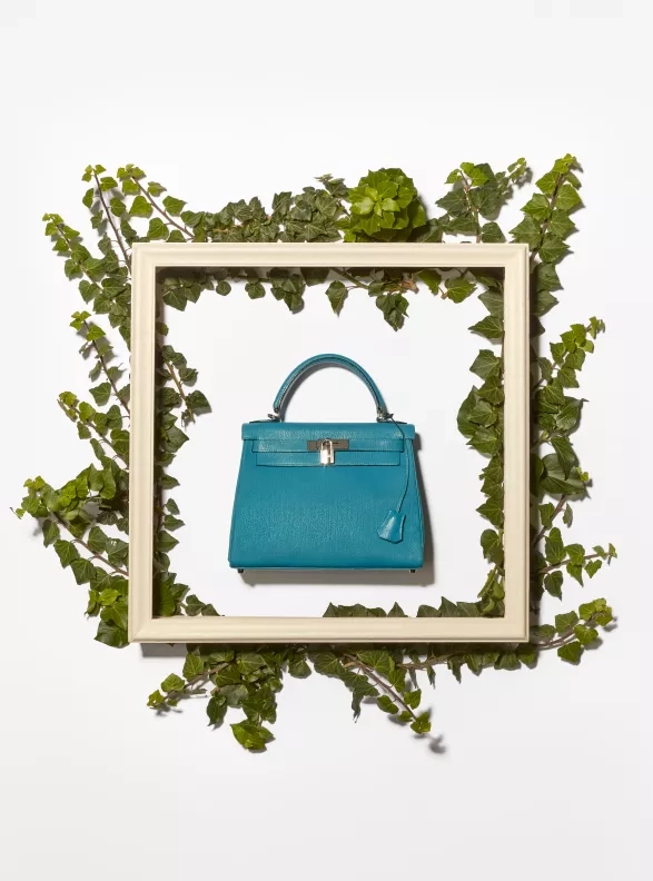 Hermès Kelly bag