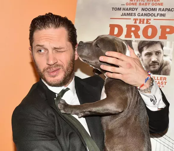 Tom Hardy & Zora Tom Hardy & Zora