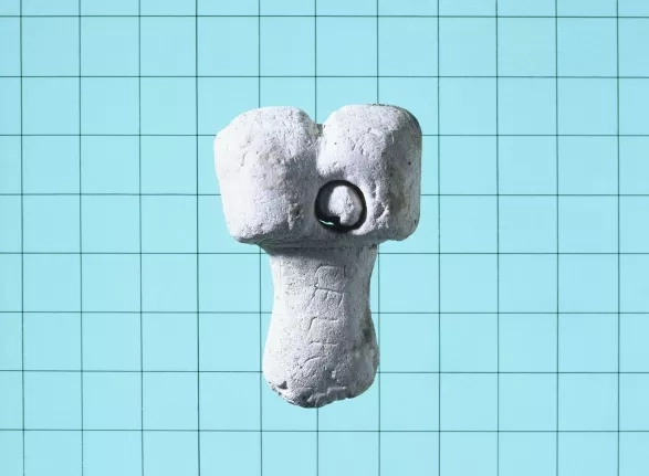 Vše, co jste kdy (ne)chtěli vědět o penisu