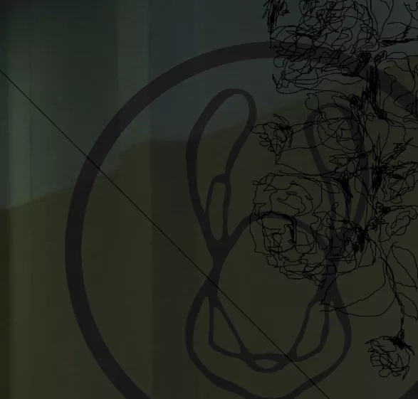 AiM by Michaela Hriňová