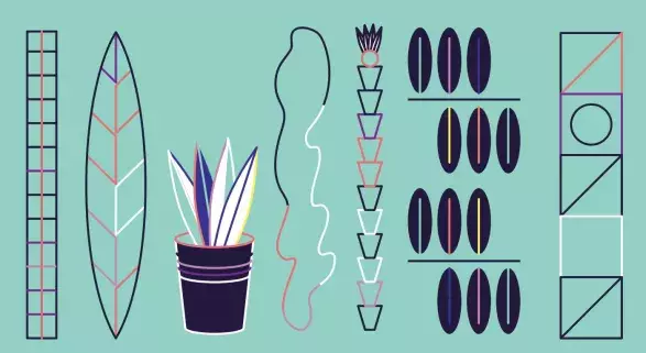 Kytkobraní Kytkobraní