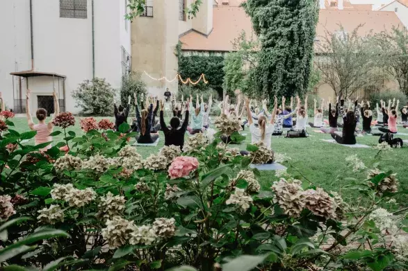 Yoga Movement Experience Yoga Movement Experience