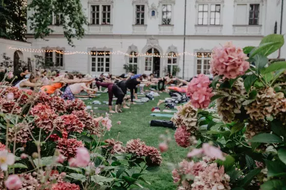 Yoga Movement Experience Yoga Movement Experience