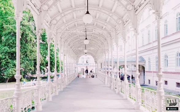 Kam za kulturou do Varů?