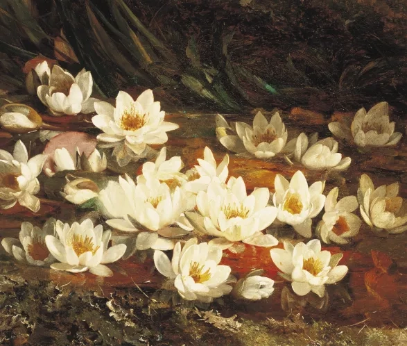 carbon neutral beauty 