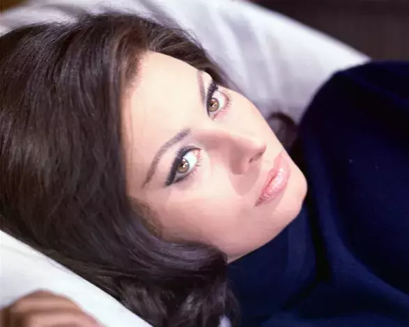 Sofia Loren Sofia Loren