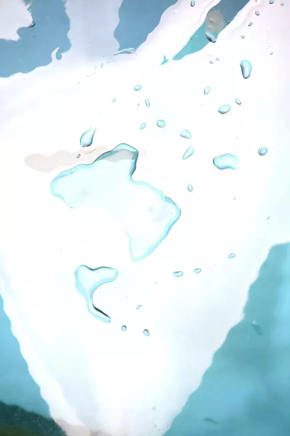 Aroma Library Myrta, 2021 by Veronika Čechmánková