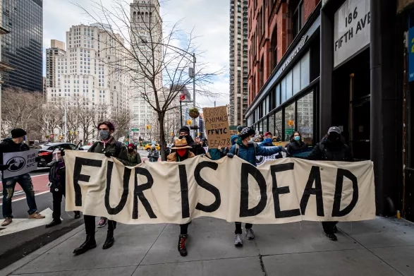 Elle končí s pravými kožešinami