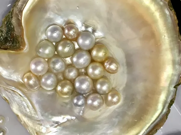 Pearls Pearls