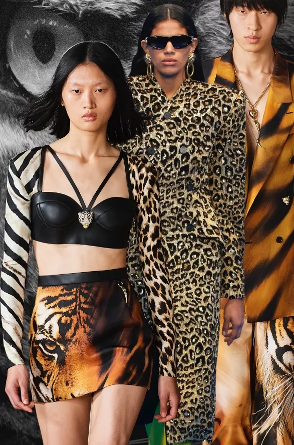 Animální přitažlivost