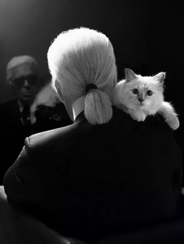 Karl Lagerfeld a Choupette