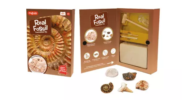 Sada vykopávek fosílií Magnoidz