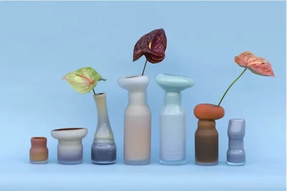 Fungus, David Valner