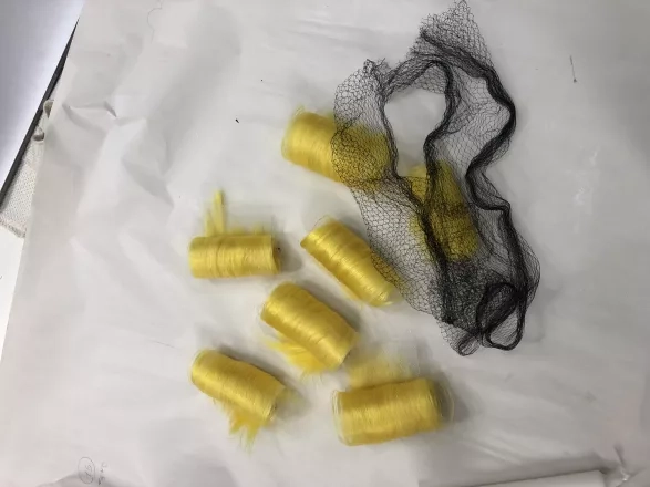 Alexandra Gnidiaková