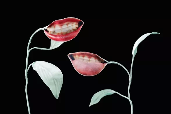 Female Gaze Female Gaze