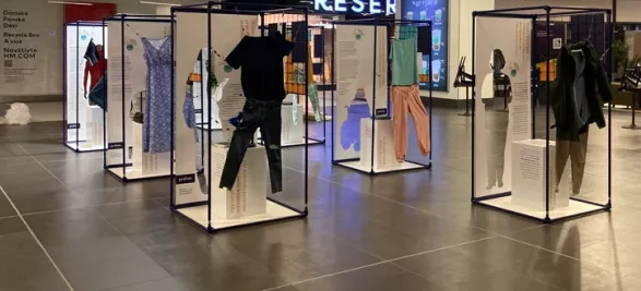 výstava Obyčejné předměty, neobyčejná bolest