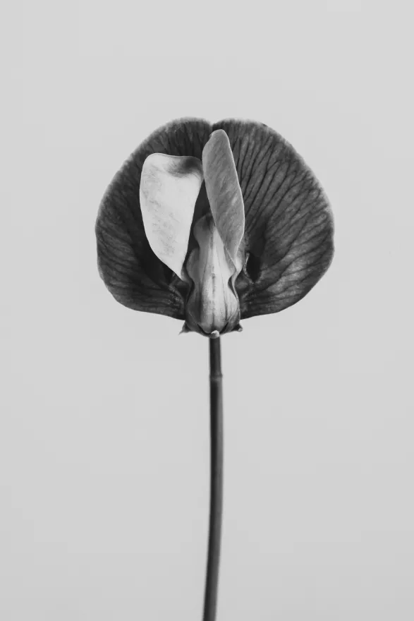 Chci to, ale nemůžu. Aneb když vaginismus ničí ženám sexuální život Chci to, ale nemůžu. Aneb když vaginismus ničí ženám sexuální život