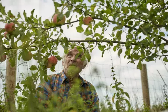Zahradníkův rok Zahradníkův rok