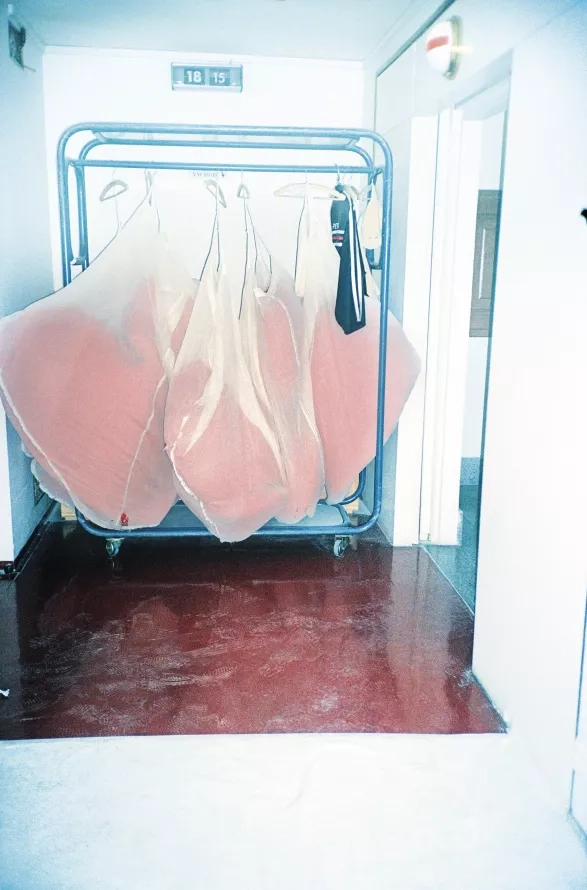 Pusinky ze série Národní divadlo, Libuše Jarcovjáková