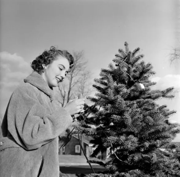 Mindfulness před Vánoci
