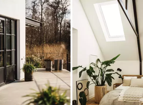 Denní přirozené světlo proměňuje prostor domu