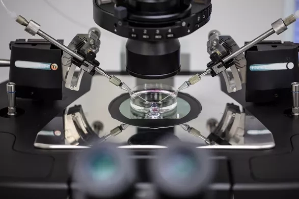 Preparační miska a mikroskop