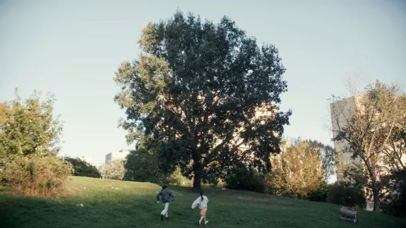 Milovník, ne bojovník Milovník, ne bojovník