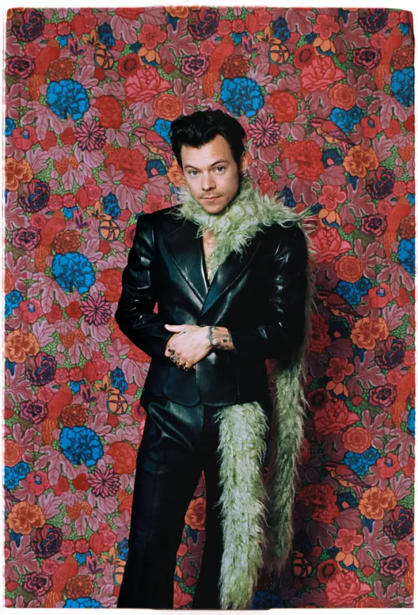 Harry Styles Harry Styles