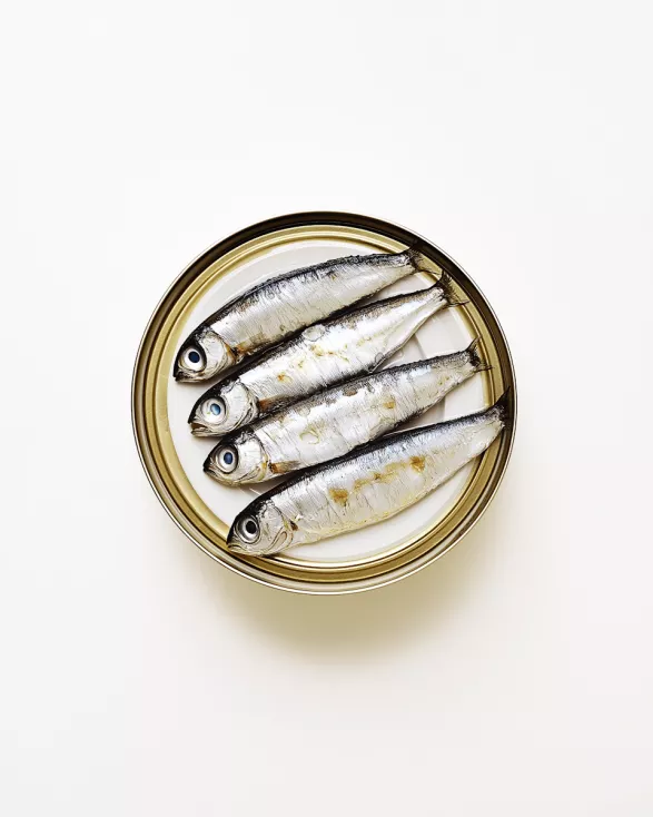 Sardines Sardines