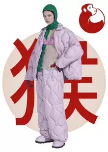 Znamení horoskopu Opice