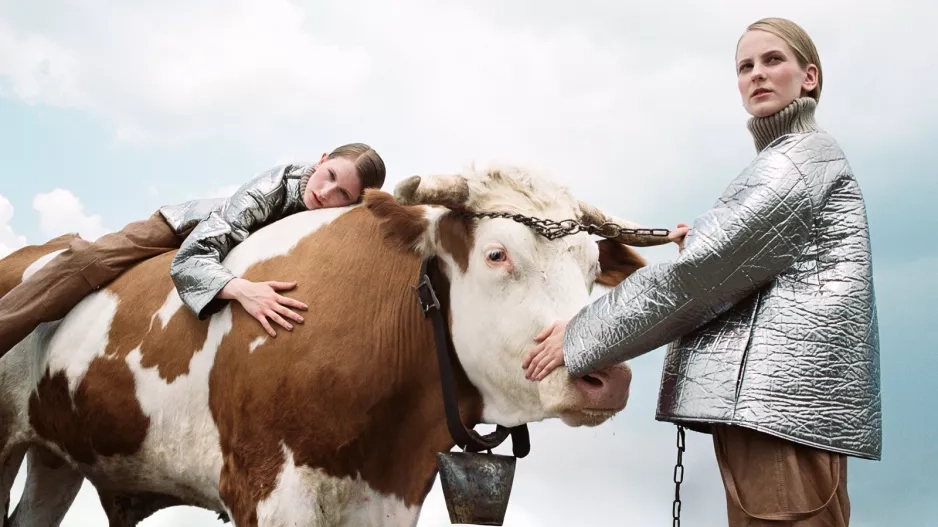 Filmový festival ASVOFF