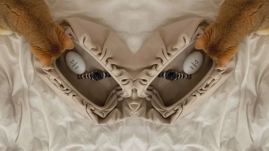 bottega