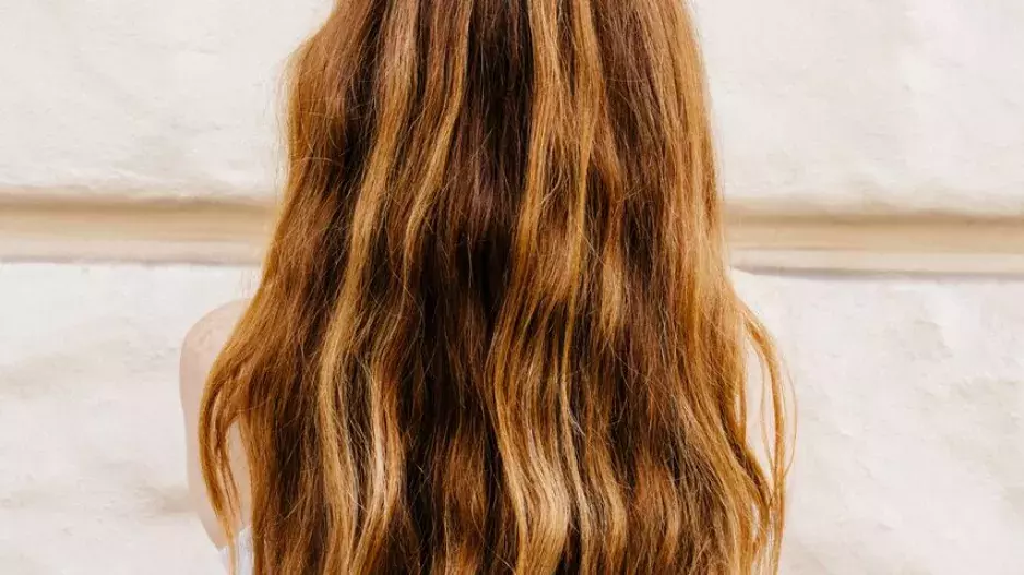 KAROLÍNA WERNEROVÁ & BOTANEA