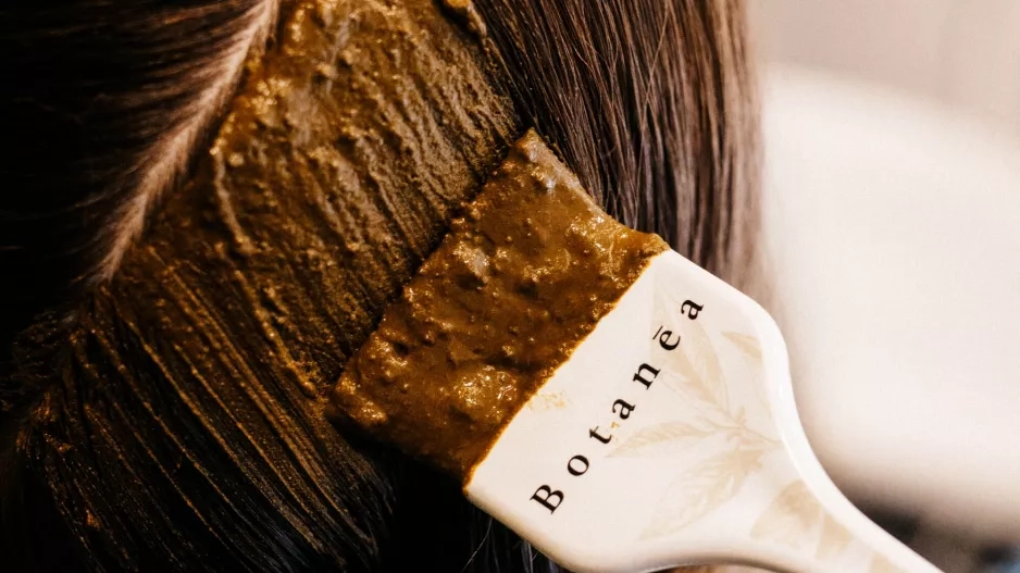 KAROLÍNA WERNEROVÁ & BOTANEA