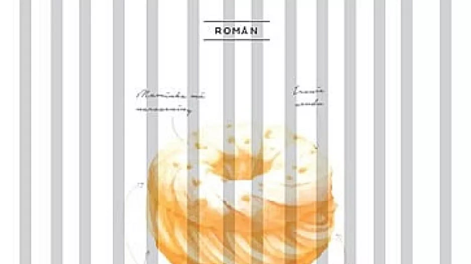 kniha, Hana od Aleny Mornštajnové, Knihy Dobrovský, 239 Kč