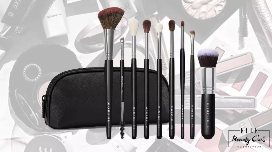 NOVÉ ŠTĚTCE? VÍME JAKÉ POTŘEBUJETE